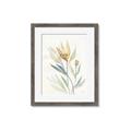 Picture of Soft Tulips II _GroupedProduct_Rectangle_Portrait_Framed_Matted_