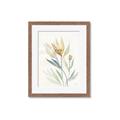 Picture of Soft Tulips II _GroupedProduct_Rectangle_Portrait_Framed_Matted_