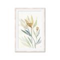 Picture of Soft Tulips II _GroupedProduct_Rectangle_Portrait_Framed_Matted_
