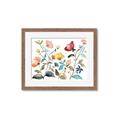 Picture of Color Burst II  _GroupedProduct_Rectangle_Landscape_Framed_Matted_