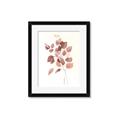 Picture of Rust Petals II  _GroupedProduct_Rectangle_Portrait_Framed_Matted_