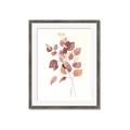 Picture of Rust Petals II  _GroupedProduct_Rectangle_Portrait_Framed_Matted_