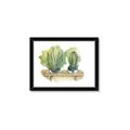 Picture of Splashed Cactus I  _GroupedProduct_Rectangle_Landscape_Framed_Matted_