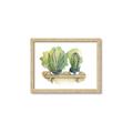 Picture of Splashed Cactus I  _GroupedProduct_Rectangle_Landscape_Framed_Matted_