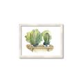Picture of Splashed Cactus I  _GroupedProduct_Rectangle_Landscape_Framed_Matted_