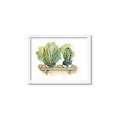 Picture of Splashed Cactus I  _GroupedProduct_Rectangle_Landscape_Framed_Matted_