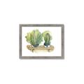 Picture of Splashed Cactus I  _GroupedProduct_Rectangle_Landscape_Framed_Matted_