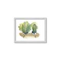 Picture of Splashed Cactus I  _GroupedProduct_Rectangle_Landscape_Framed_Matted_