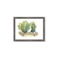 Picture of Splashed Cactus I  _GroupedProduct_Rectangle_Landscape_Framed_Matted_