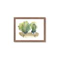 Picture of Splashed Cactus I  _GroupedProduct_Rectangle_Landscape_Framed_Matted_