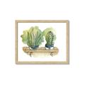 Picture of Splashed Cactus I  _GroupedProduct_Rectangle_Landscape_Framed_Matted_