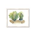 Picture of Splashed Cactus I  _GroupedProduct_Rectangle_Landscape_Framed_Matted_