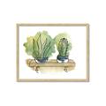 Picture of Splashed Cactus I  _GroupedProduct_Rectangle_Landscape_Framed_Matted_