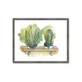 Picture of Splashed Cactus I  _GroupedProduct_Rectangle_Landscape_Framed_Matted_