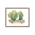Picture of Splashed Cactus I  _GroupedProduct_Rectangle_Landscape_Framed_Matted_