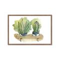 Picture of Splashed Cactus I  _GroupedProduct_Rectangle_Landscape_Framed_Matted_