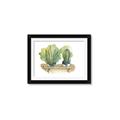 Picture of Splashed Cactus I  _GroupedProduct_Rectangle_Landscape_Framed_Matted_