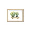 Picture of Splashed Cactus I  _GroupedProduct_Rectangle_Landscape_Framed_Matted_