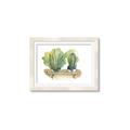 Picture of Splashed Cactus I  _GroupedProduct_Rectangle_Landscape_Framed_Matted_