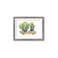 Picture of Splashed Cactus I  _GroupedProduct_Rectangle_Landscape_Framed_Matted_