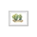 Picture of Splashed Cactus I  _GroupedProduct_Rectangle_Landscape_Framed_Matted_
