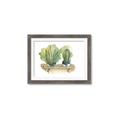 Picture of Splashed Cactus I  _GroupedProduct_Rectangle_Landscape_Framed_Matted_