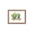Picture of Splashed Cactus I  _GroupedProduct_Rectangle_Landscape_Framed_Matted_