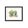 Picture of Splashed Cactus I  _GroupedProduct_Rectangle_Landscape_Framed_Matted_