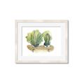 Picture of Splashed Cactus I  _GroupedProduct_Rectangle_Landscape_Framed_Matted_