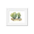 Picture of Splashed Cactus I  _GroupedProduct_Rectangle_Landscape_Framed_Matted_