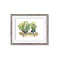 Picture of Splashed Cactus I  _GroupedProduct_Rectangle_Landscape_Framed_Matted_