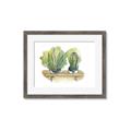 Picture of Splashed Cactus I  _GroupedProduct_Rectangle_Landscape_Framed_Matted_