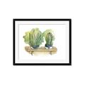 Picture of Splashed Cactus I  _GroupedProduct_Rectangle_Landscape_Framed_Matted_