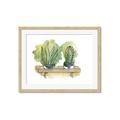 Picture of Splashed Cactus I  _GroupedProduct_Rectangle_Landscape_Framed_Matted_