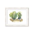 Picture of Splashed Cactus I  _GroupedProduct_Rectangle_Landscape_Framed_Matted_