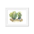 Picture of Splashed Cactus I  _GroupedProduct_Rectangle_Landscape_Framed_Matted_
