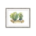 Picture of Splashed Cactus I  _GroupedProduct_Rectangle_Landscape_Framed_Matted_