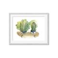 Picture of Splashed Cactus I  _GroupedProduct_Rectangle_Landscape_Framed_Matted_