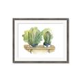 Picture of Splashed Cactus I  _GroupedProduct_Rectangle_Landscape_Framed_Matted_