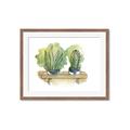 Picture of Splashed Cactus I  _GroupedProduct_Rectangle_Landscape_Framed_Matted_