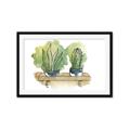 Picture of Splashed Cactus I  _GroupedProduct_Rectangle_Landscape_Framed_Matted_