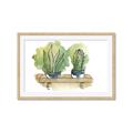 Picture of Splashed Cactus I  _GroupedProduct_Rectangle_Landscape_Framed_Matted_