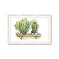 Picture of Splashed Cactus I  _GroupedProduct_Rectangle_Landscape_Framed_Matted_