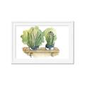 Picture of Splashed Cactus I  _GroupedProduct_Rectangle_Landscape_Framed_Matted_