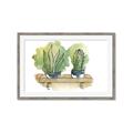 Picture of Splashed Cactus I  _GroupedProduct_Rectangle_Landscape_Framed_Matted_
