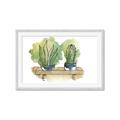 Picture of Splashed Cactus I  _GroupedProduct_Rectangle_Landscape_Framed_Matted_