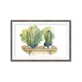 Picture of Splashed Cactus I  _GroupedProduct_Rectangle_Landscape_Framed_Matted_