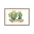 Picture of Splashed Cactus I  _GroupedProduct_Rectangle_Landscape_Framed_Matted_