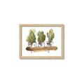 Picture of Splashed Cactus II  _GroupedProduct_Rectangle_Landscape_Framed_Matted_