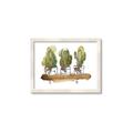Picture of Splashed Cactus II  _GroupedProduct_Rectangle_Landscape_Framed_Matted_